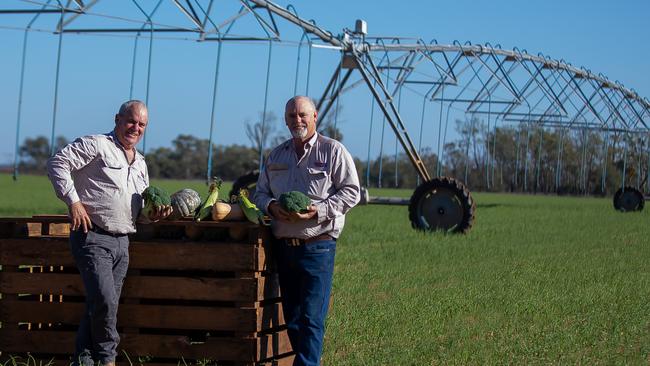 Andrew and David Moon on their farm in southwest Queensland. Picture: Dust to Dawn Photography/AusVeg