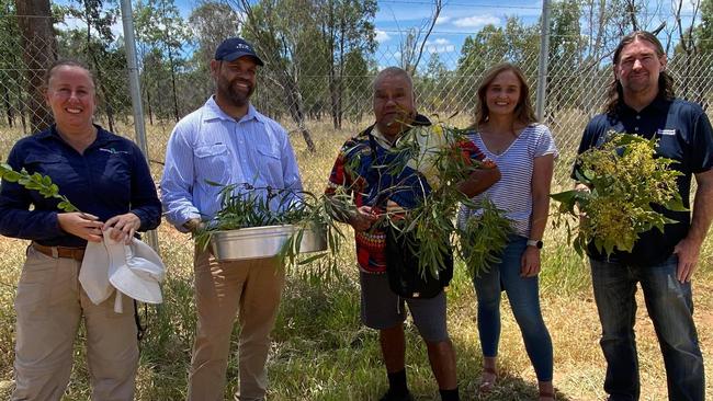 Dr Lynise Wearne, Cr Weazel, Mr Kemp, Kalair McArthur, and a State Government representative.