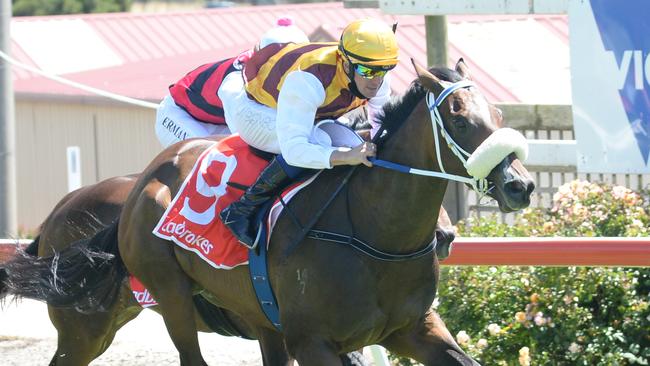 Melisma is having her third Queensland start. Picture: Racing Photos via Getty Images