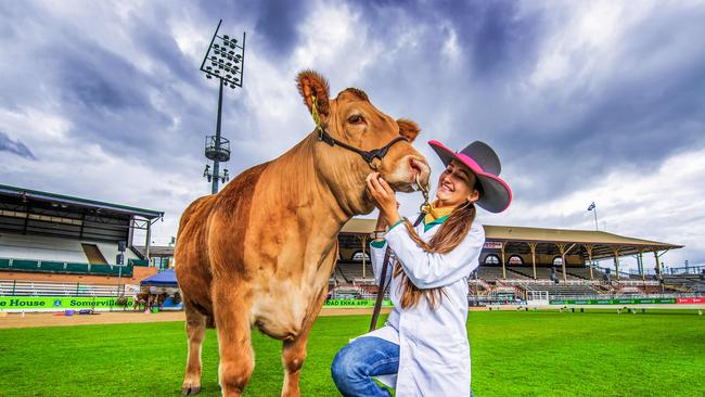 Beaudesert State High School Year 11 student Layne Addy will be competing in the Led Steer School Parade. Picture: Nigel Hallett