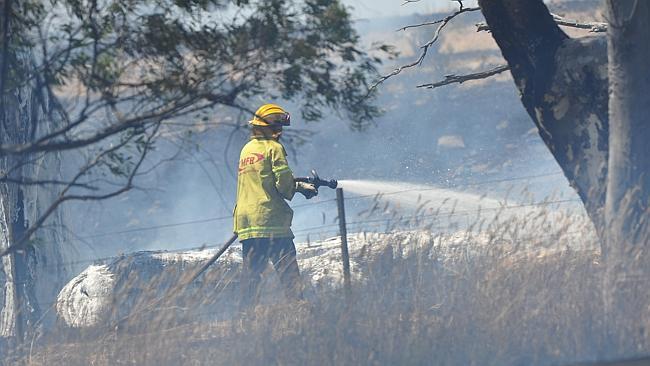 A firefighter battling a grassfire which broke out on Racecourse Rd, Sunbury last week. Picture: Dennis Manktelow