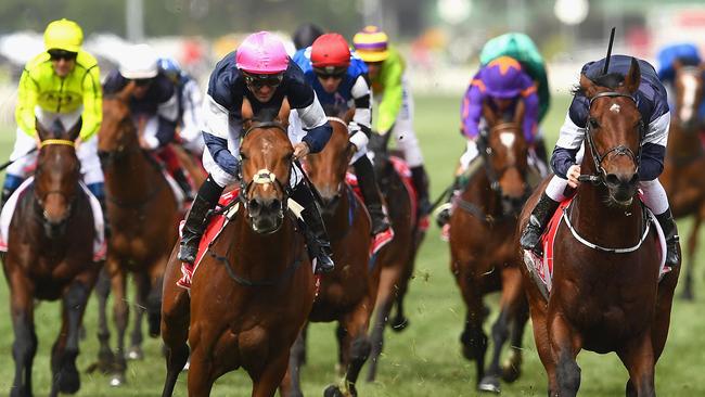 SA Racing: The 2017 South Australian horse racing year in review | The ...