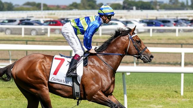 Trainer Mitch Freedman is keen to get Group 1-winner Attrition back to his best. Picture: Scott Barbour/Racing Photos via Getty Images