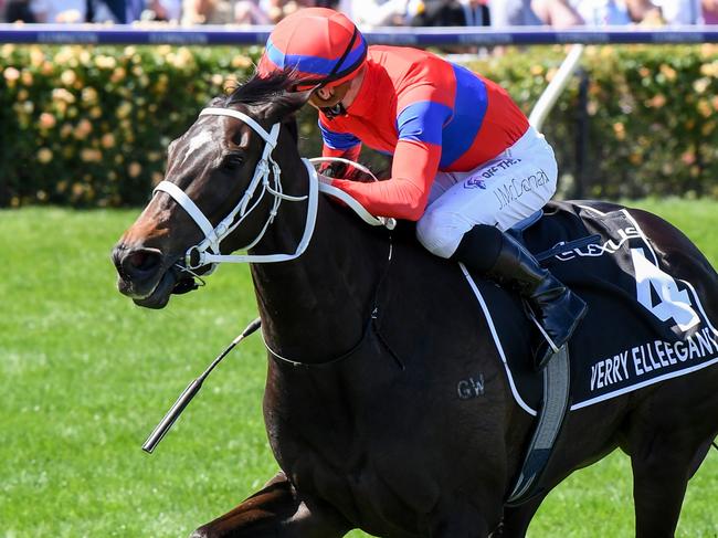 Verry Elleegant (NZ) ridden by James McDonald wins the Lexus Melbourne Cup at Flemington Racecourse on November 02, 2021 in Flemington, Australia. (Reg Ryan/Racing Photos via Getty Images)