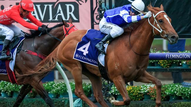 Mark Zahra drives Gytrash to victory in the Black Caviar Lightning. Photo: AAP Image/Vince Caligiuri