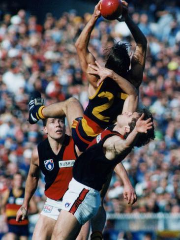  Matthew Liptak marks strongly ahead of Essendon's 1993 Brownlow Medallist Gavin Wanganeen.