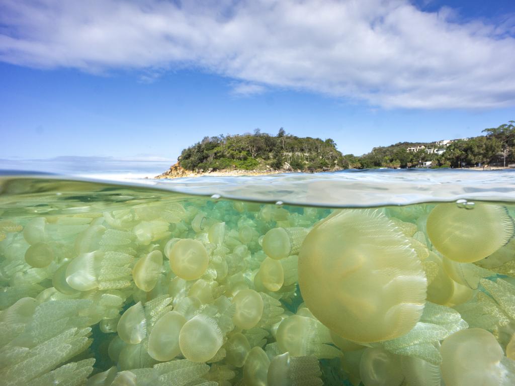 This underwater image won third place for Water and is called “Jellyblubber split”. It was taken at Cabbage Tree Bay, NSW. Picture: Peter McGee/TNC Oceania Photo Contest