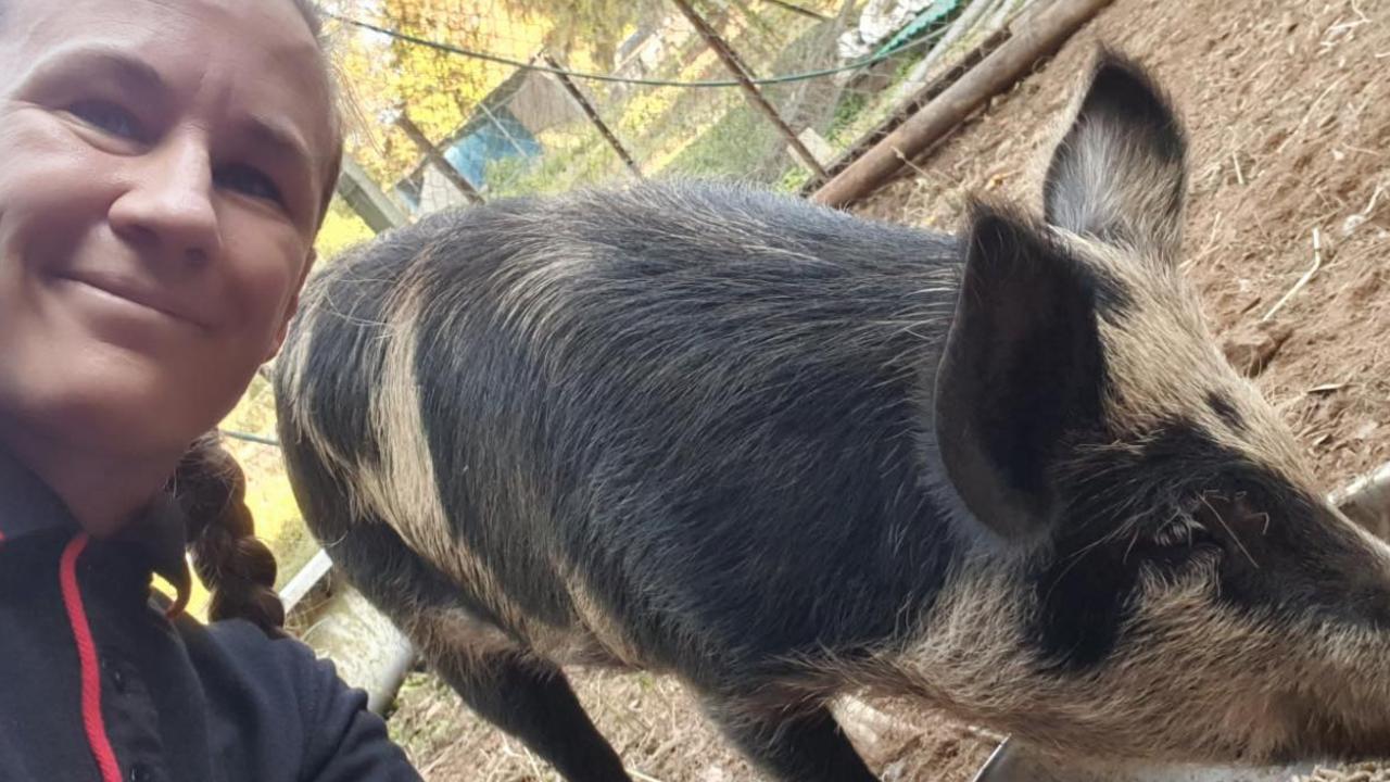 Lisa-Jane Hall is one of the proud new owners of Audrey the pig, who was found wandering along the Bruce Highway in May. Picture: Lisa-Jane Hall