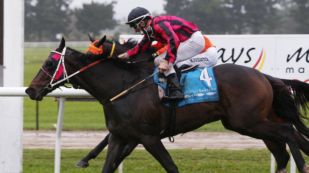 Tutelage, ridden by Scott Sheargold, wins Race 5 of the Banana Industry Race Day, held at the Innisfail Turf Club. Picture: Brendan Radke