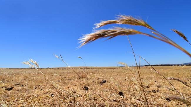 DROUGHT. Weather. Tom & Jenny Small at Tottington, their sheep property near St Arnaud. Dry. Lambs. Wool. WTSocial.Pictured: Landscape. PICTURE: ZOE PHILLIPS