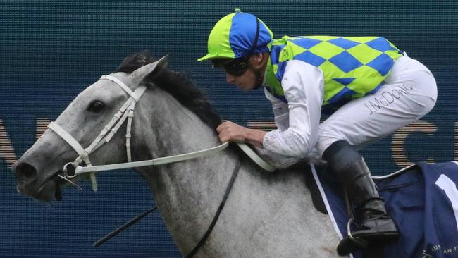 James McDonald looks hard to beat in the Jockeys Challenge. Picture: Grant Guy
