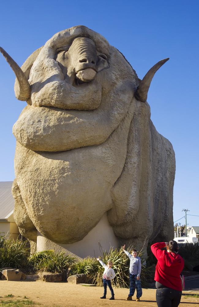 Visitors can actually enter the big merino and look out through his eyes.