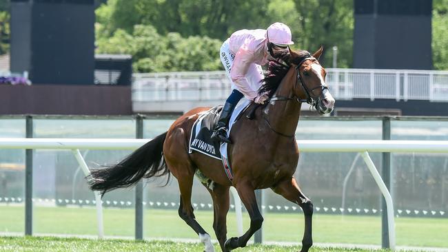 Anthony Van Dyck’s death in last Tuesday’s Melbourne Cup has spawned plenty of fallout. Picture: Getty Images.