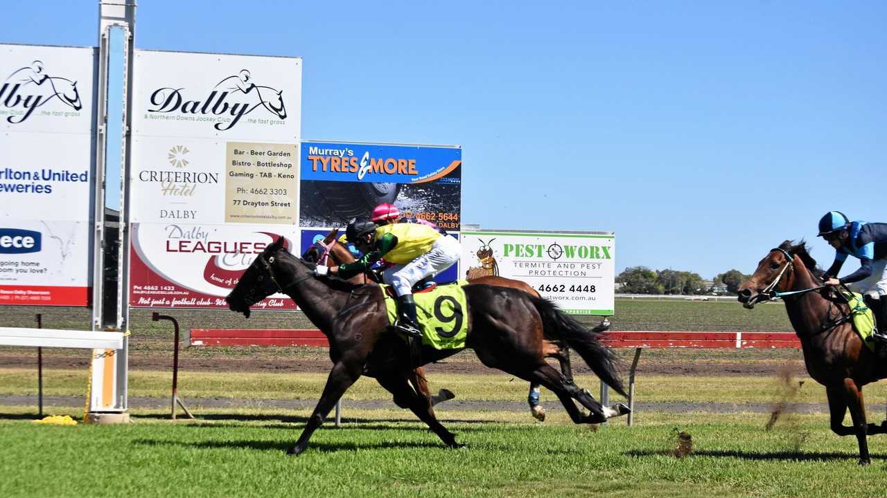 MAKING STRIDES: Avasa, trained by Jackie Crompton, won race two, the Class B Handicap over 1000m, at Saturday's Christmas Races. Picture: Shannon Hardy