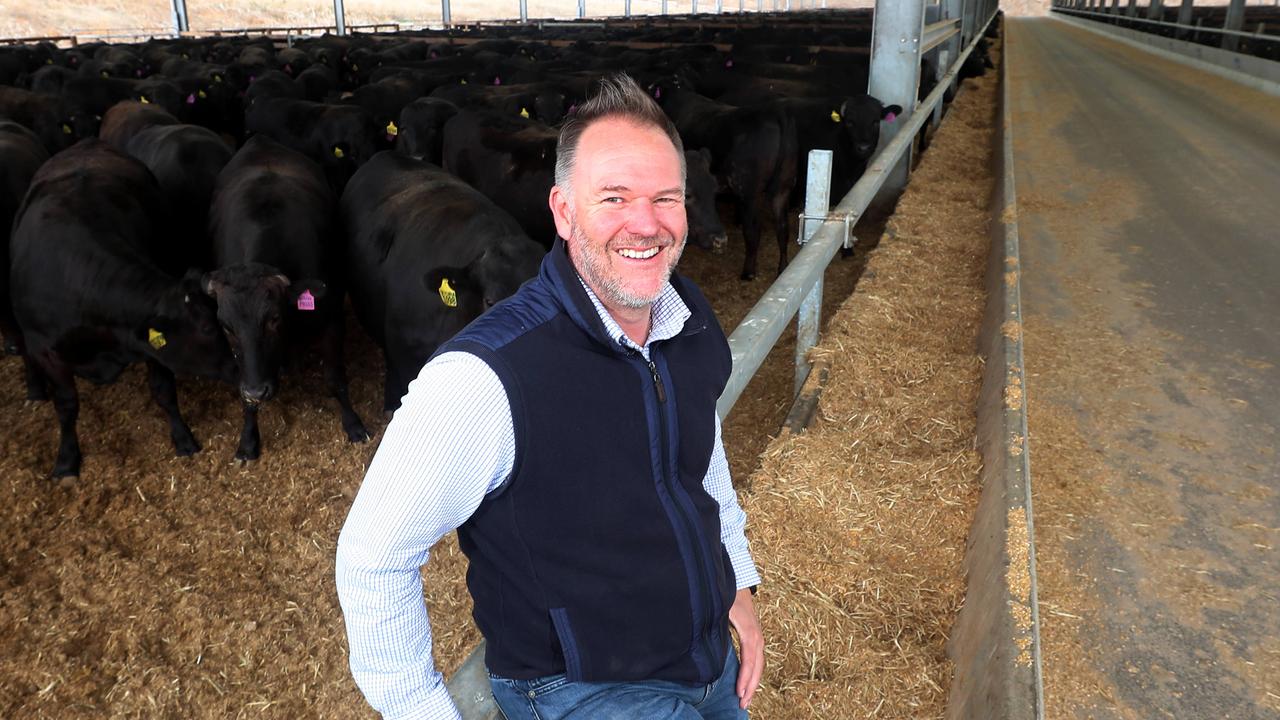Beefing up: SA Wagyu pioneer sees sizzling demand in China