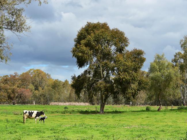 The brands are sold through independent retailers in Shepparton, Bendigo and Melbourne, as well as Cannings Butchers. Picture: Zoe Phillips