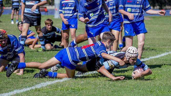Day One of King of the Country rugby tournament at James Overell Park, Southport. Maroochydore Swans U14s' ( big stripes - blue) in action against USQ Saints U14s' (darker blue small stripes). Maroochydore Swans U14s Jarvis Wood scoring a try . Picture: Jerad Williams