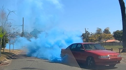 Gender reveal leads to police investigation. Picture: Queensland Police