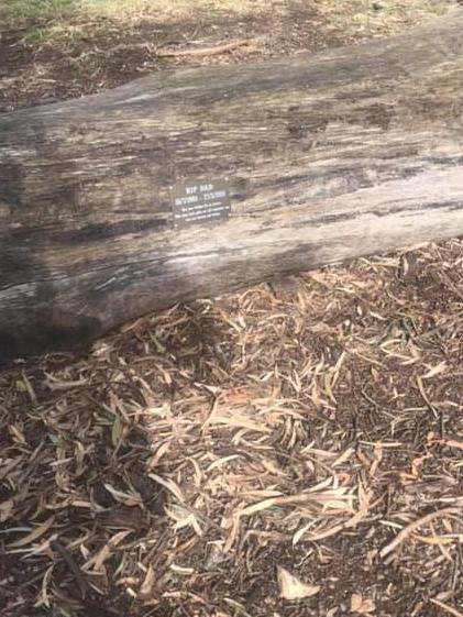 Roadside Memorial on Maryvale Rd, Athelstone now a plaque. Picture: Ashlee Vucetic