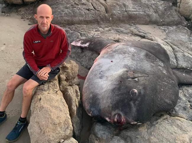 ‘Blown away’: Creature from the deep washes ashore on East Coast