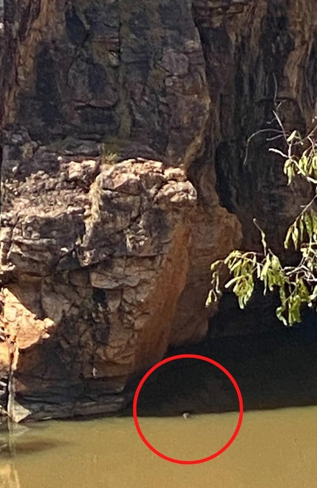 The saltwater croc was spotted swimming in between the rocks at Butterfly Gorge in June 2022. Picture: Supplied