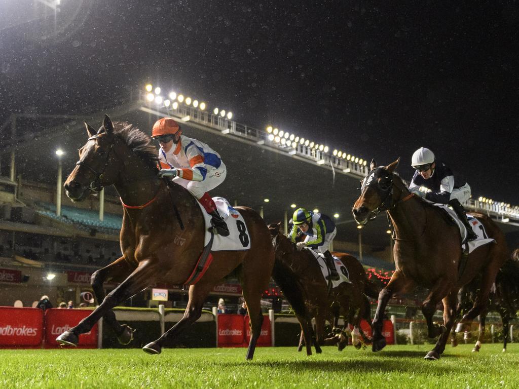 Cup Day crowds to return to trackside