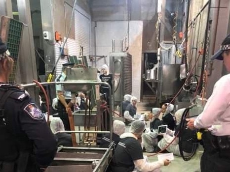 Vegan protestors tie themselves to machinery at the Carey Bros Abattoir in Yangan, Darling Downs on April 8, 2019.