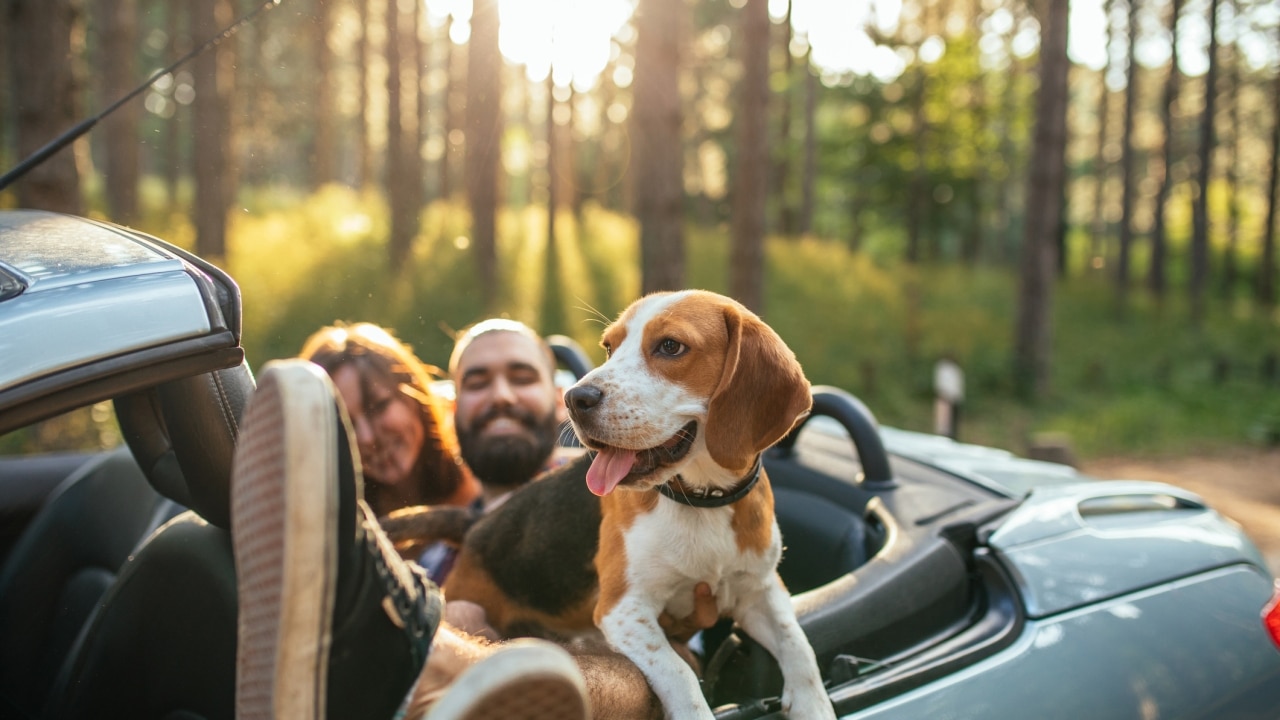 22 best weekend breaks from Melbourne Short break holidays in Victoria Photos