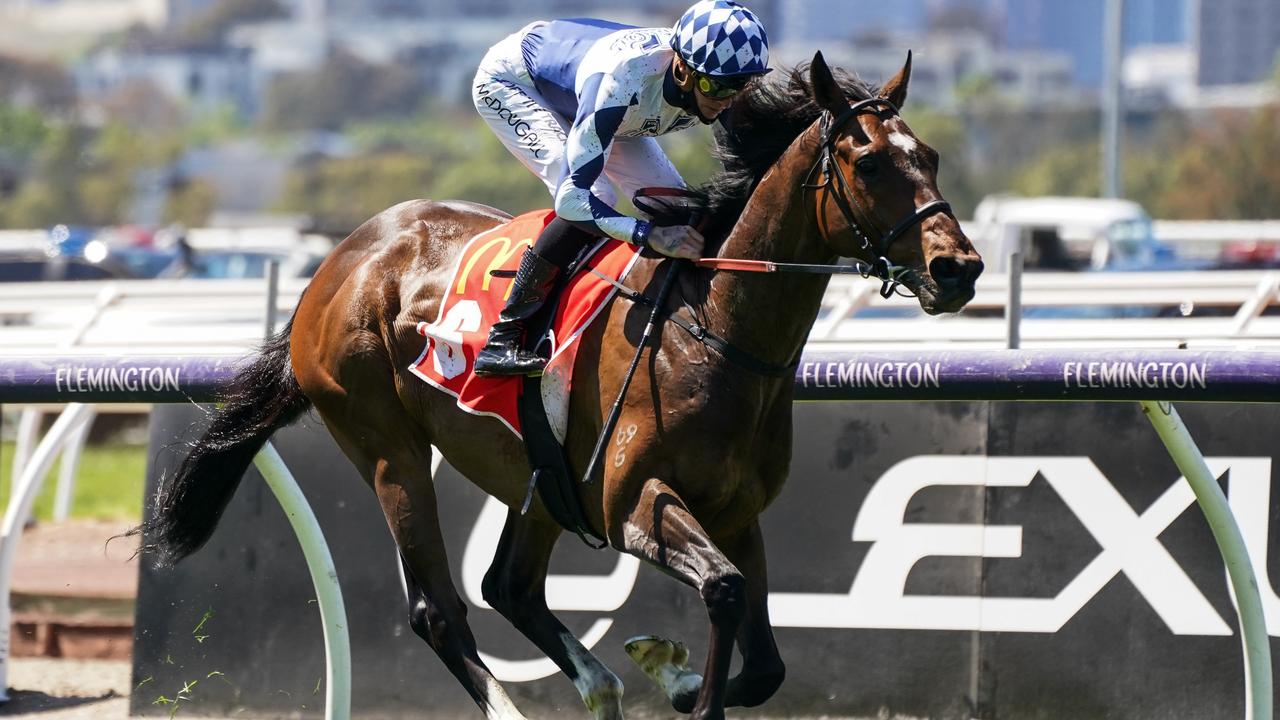 Team Captain will have a crack at notching his fourth straight win when he tackles next Saturday's $300,000 Pakenham Cup. Picture : Racing Photos via Getty Images.