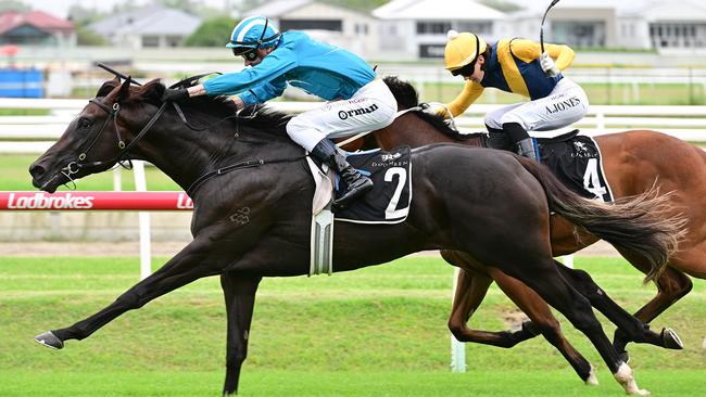 Fukubana is bound for the Group 1 Randwick Guineas. Picture: Grant Peters, Trackside Photography.