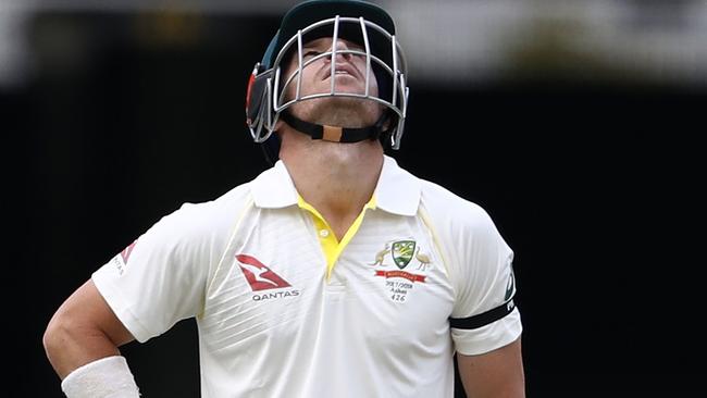 David Warner of Australia looks to the sky while on 63 not out during day five of the First Test Match