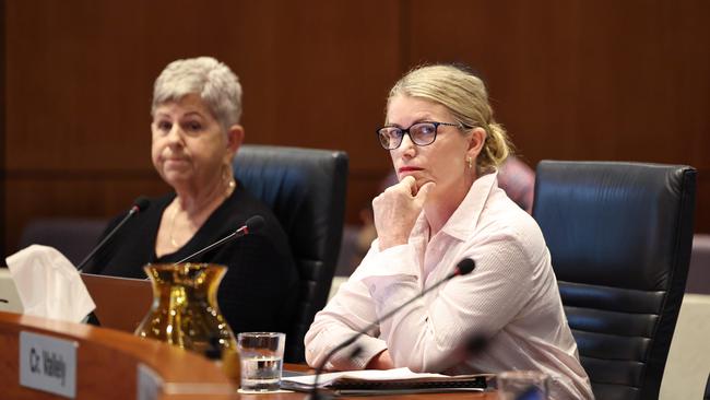 Division Seven councillor Anna Middleton and Division Eight councillor Rhonda Coghlan both voted against selling off all of the council’s environmental credits. Picture: Brendan Radke