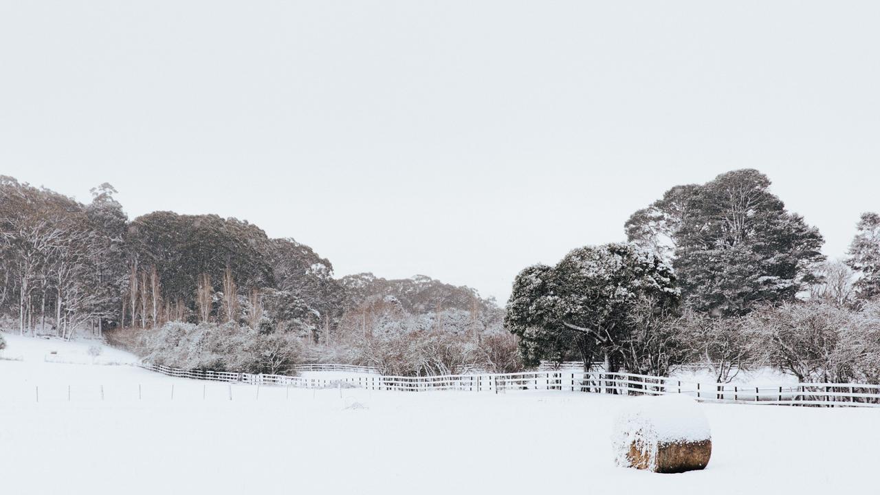 Mt Macedon in Victoria was a winter wonderland earlier this week. Picture: Chloe Smith