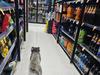 Bizarre scenes at busy supermarket