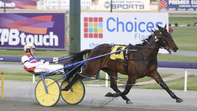 Josh Aiken on board Miracle Mile contender Hectorjayjay. Picture: Jodie Hallows/Paceway Photography