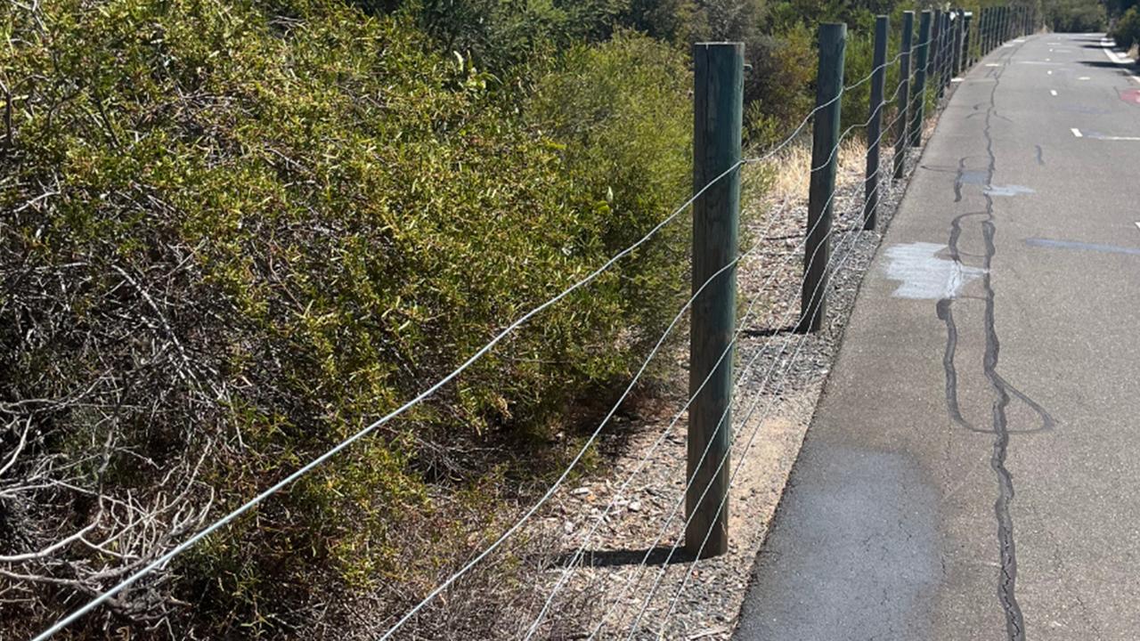 Where the incidents happened is along a popular cycling path. Picture: SAPOL