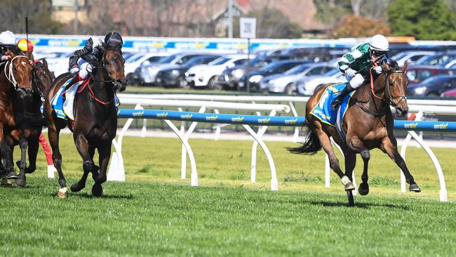 Deny Knowledge gave Mr Brightside too much ground to make up. Picture: Pat Scala/Racing Photos via Getty Images