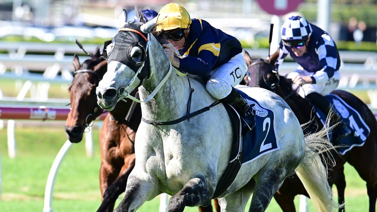 Luncies heads to the Ipswich Cup with the best form on Saturday. Picture: Grant Peters / Trackside Photography.