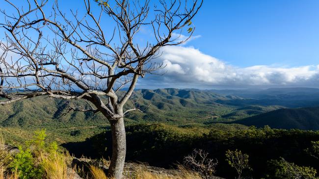 Mt Windsor Tableland in Queensland’s Cape York. Picture: Grant Dixon