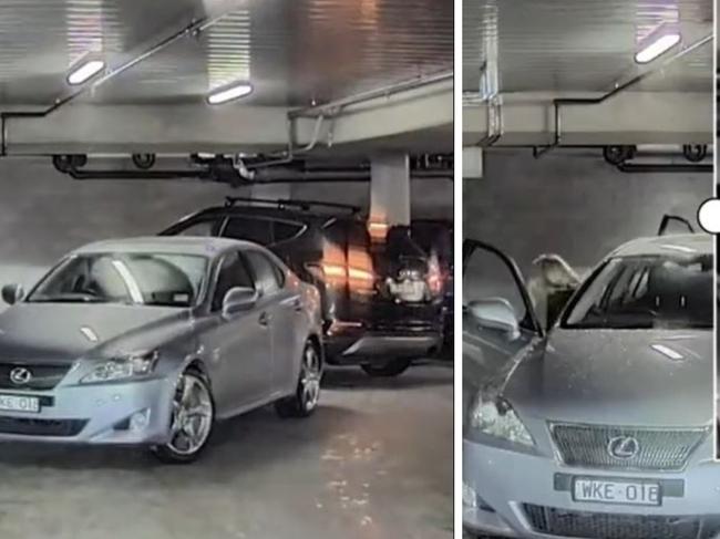 A swift battle for a car spot in Melbourne has divided Aussies on parking politely. Photo: TikTok