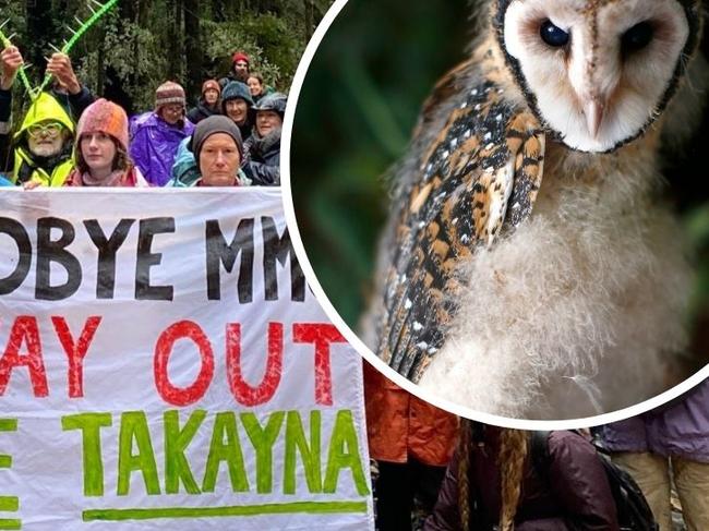 Masked owl recordings back tailings fight say environmentalists