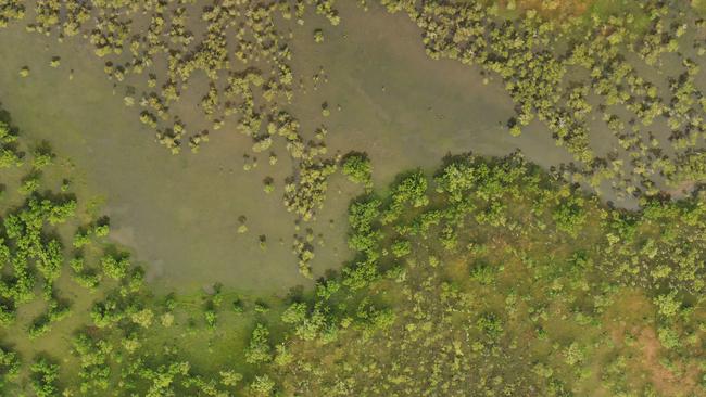 Kakadu National Park after heavy rainfall last year. Picture: Amanda Parkinson