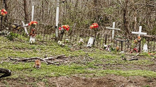 The haunted swamp of Louisiana.