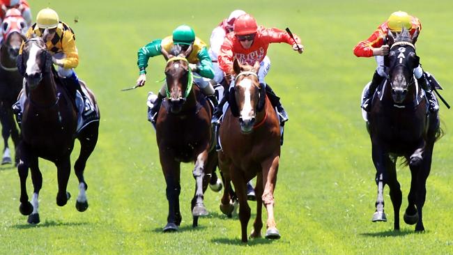 The Gerald Ryan-trained Dothraki is $12 into $10 in race four at Flemington. Picture: Mark Evans