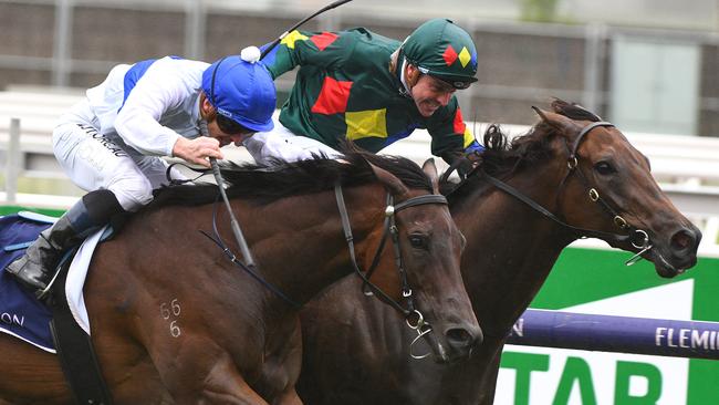 Catalyst and Alligator Blood had an epic battle down the straight at Flemington in the CS hayes Stakes. The pair will clash again in the All-Star Mile. Picture: AAP