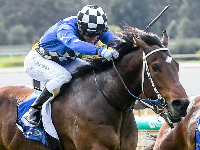 Beldivian ridden by Luke Currie wins the Drake International Three-Years-Old Maiden Plate at Bendigo Racecourse on August 08, 2021 in Bendigo, Australia. (Brett Holburt/Racing Photos via Getty Images)