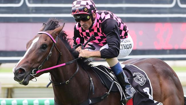 Rothfire maintained his undefeated record with another dominant win at Doomben. Picture: Trackside Photography