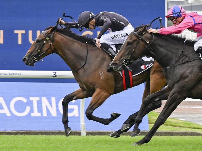 The Playwright wins at Rosehill Gardens on November 30, 2024. Picture: Bradley Photos