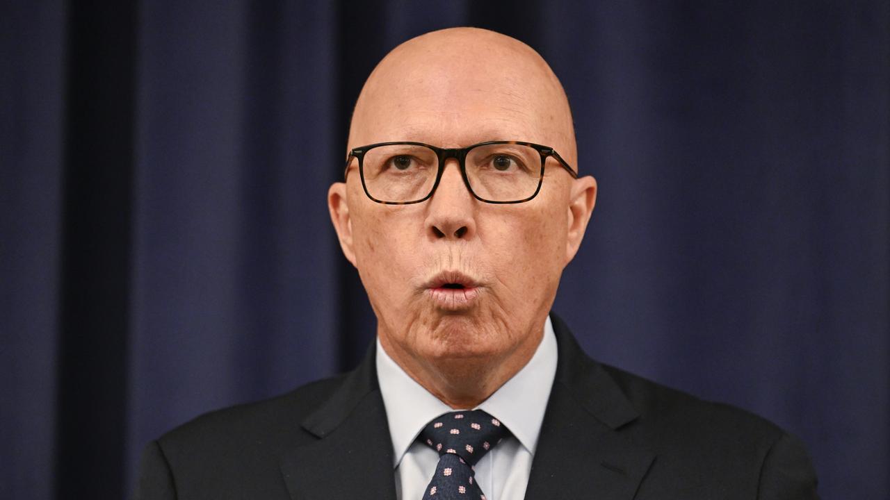 Peter Dutton has attacked the government on cost-of-living issues. Picture: NewsWire/Martin Ollman