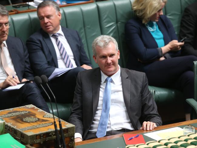 Arts Minister Tony Burke. Picture Kym Smith